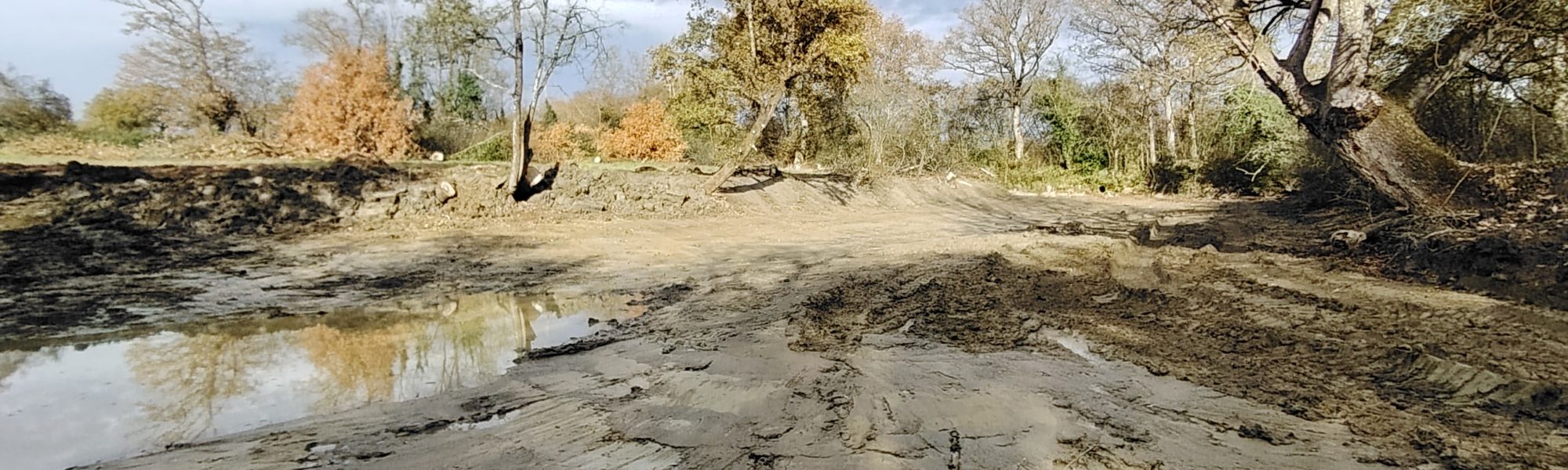 curage mare curage mare